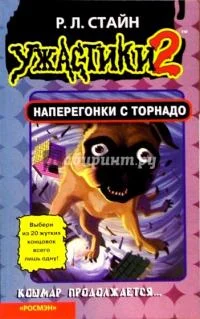 Обложка Наперегонки с торнадо