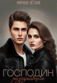 Обложка Господин Разрушитель (СИ)