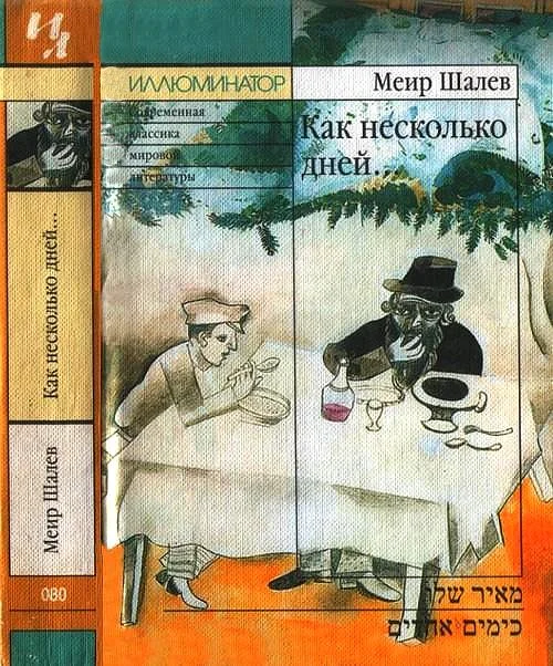 Обложка Как несколько дней…