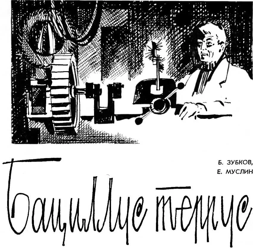 Обложка Бациллус террус