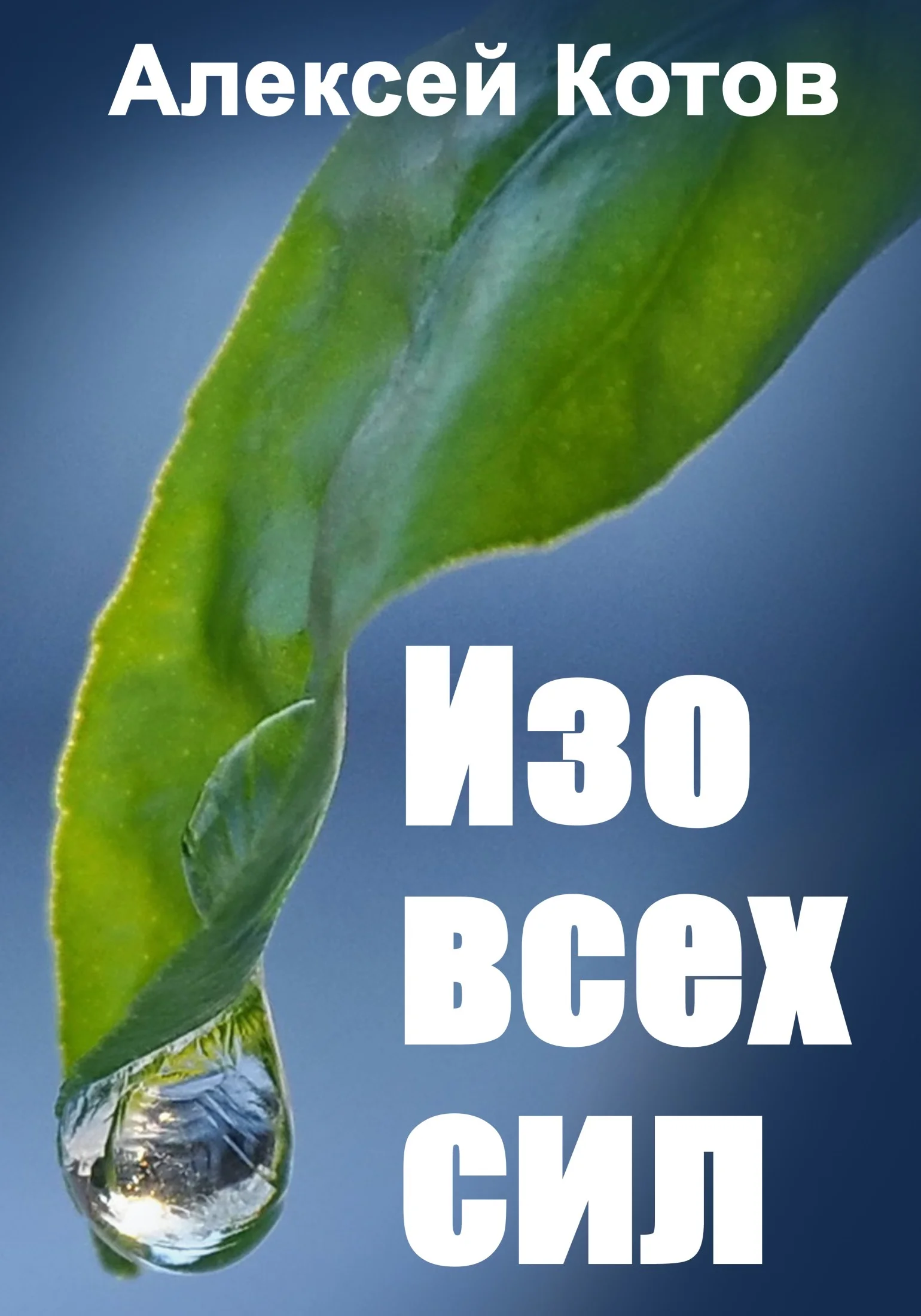 Обложка Изо всех сил