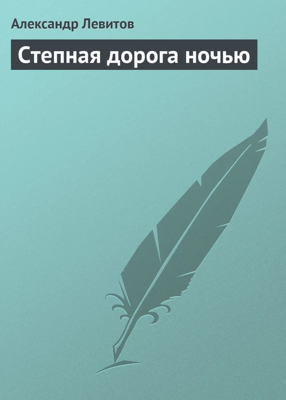 Обложка Степная дорога ночью