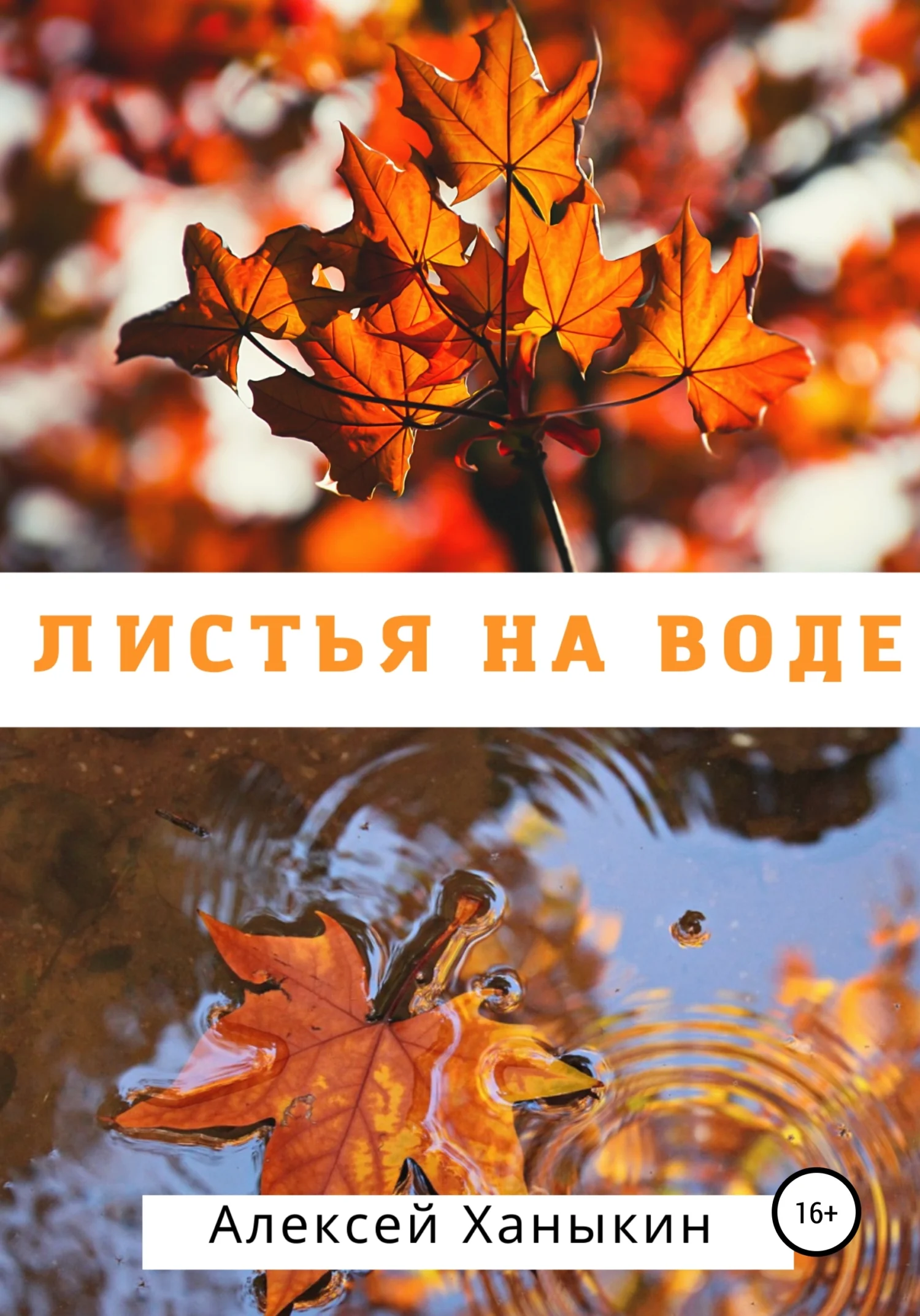 Обложка Листья на воде