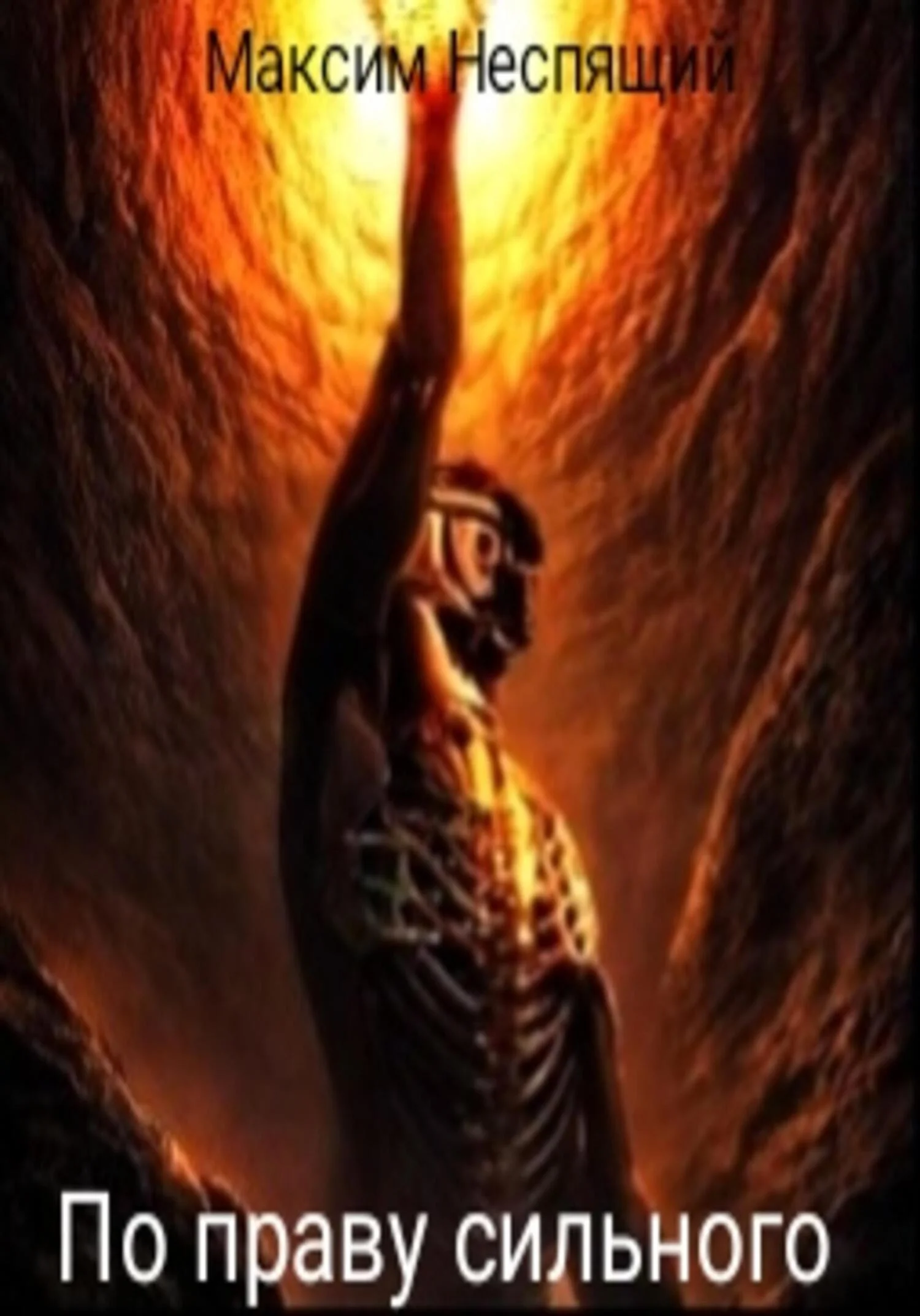 Обложка По праву сильного