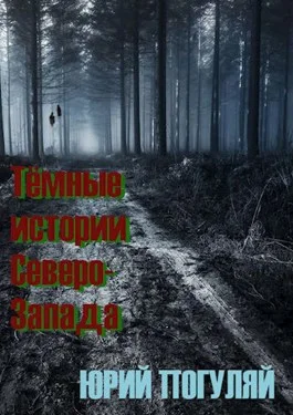 Обложка Тёмные истории Северо-Запада