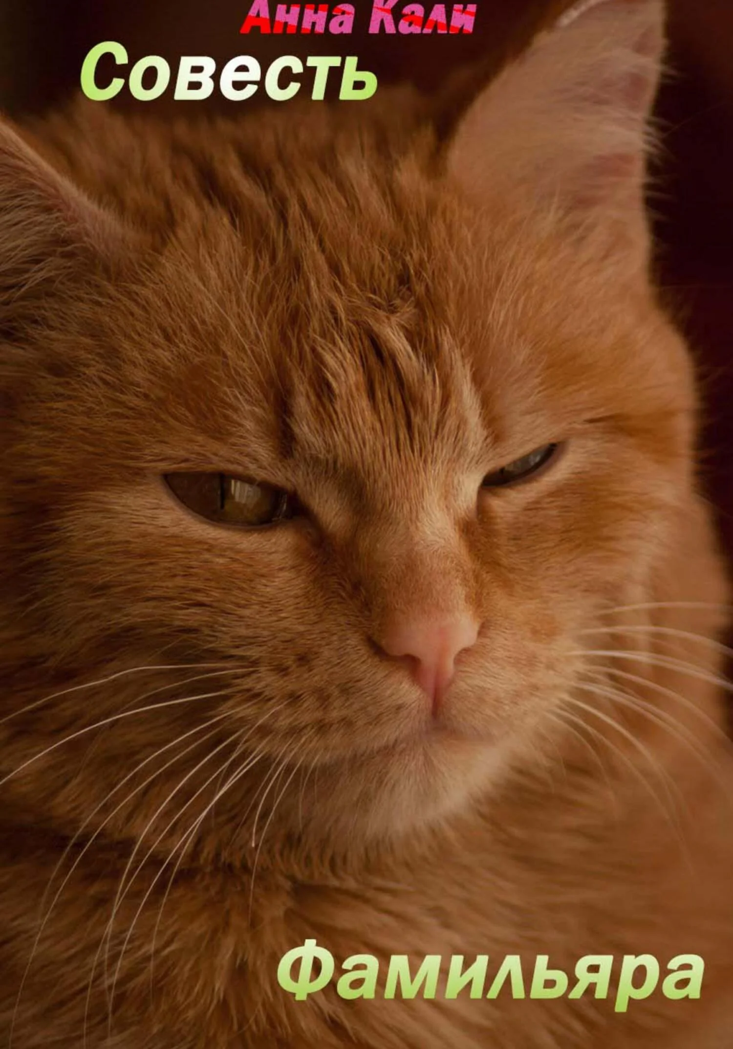 Обложка Совесть для фамильяра