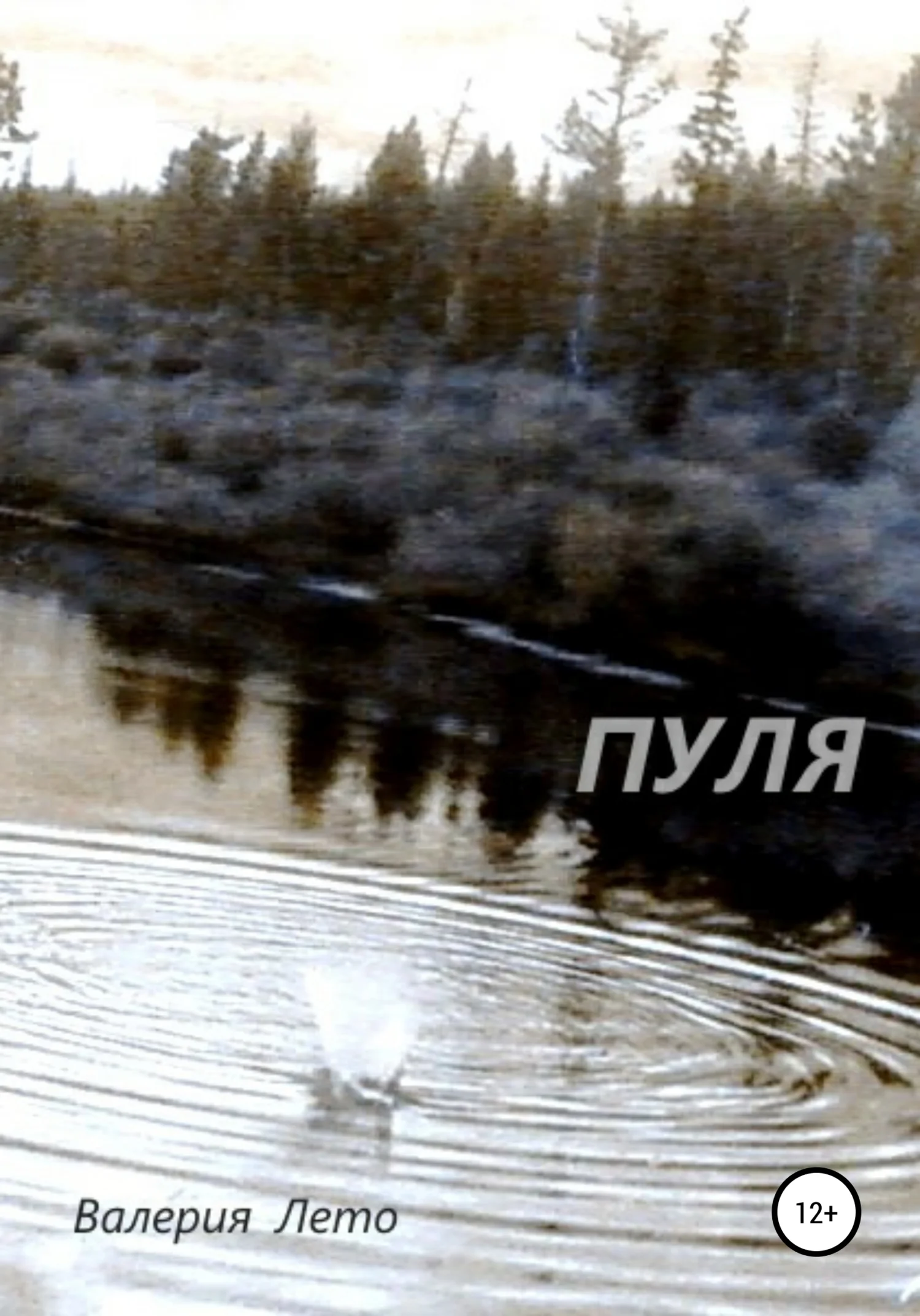 Обложка Пуля