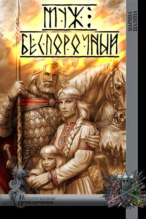 Обложка Муж беспорочный