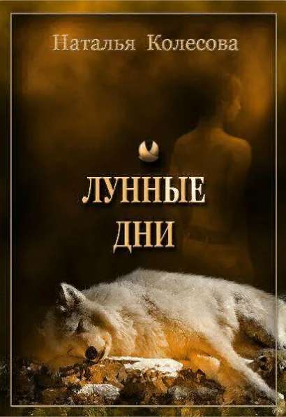 Обложка Лунные дни