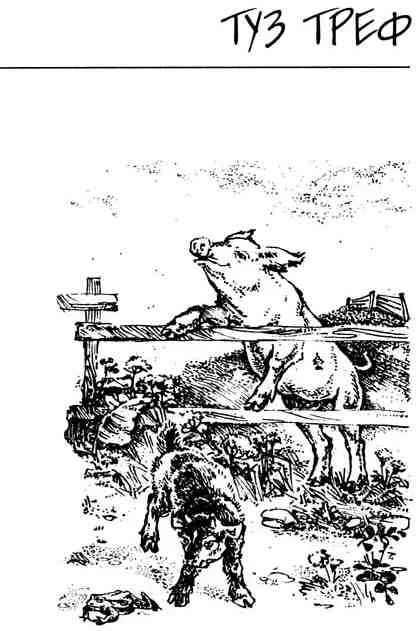 Обложка Туз Треф