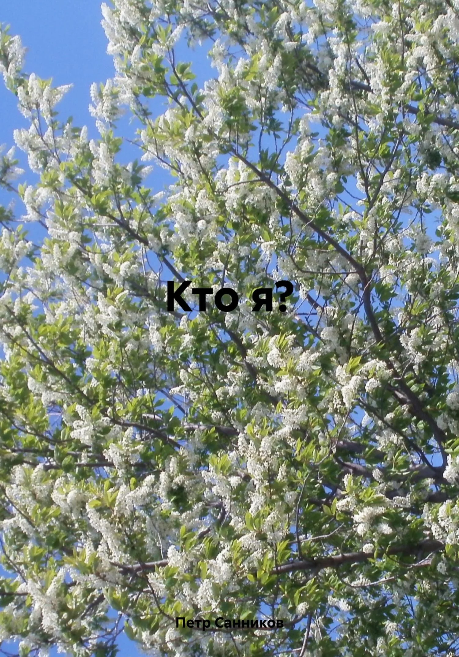 Обложка Кто я?