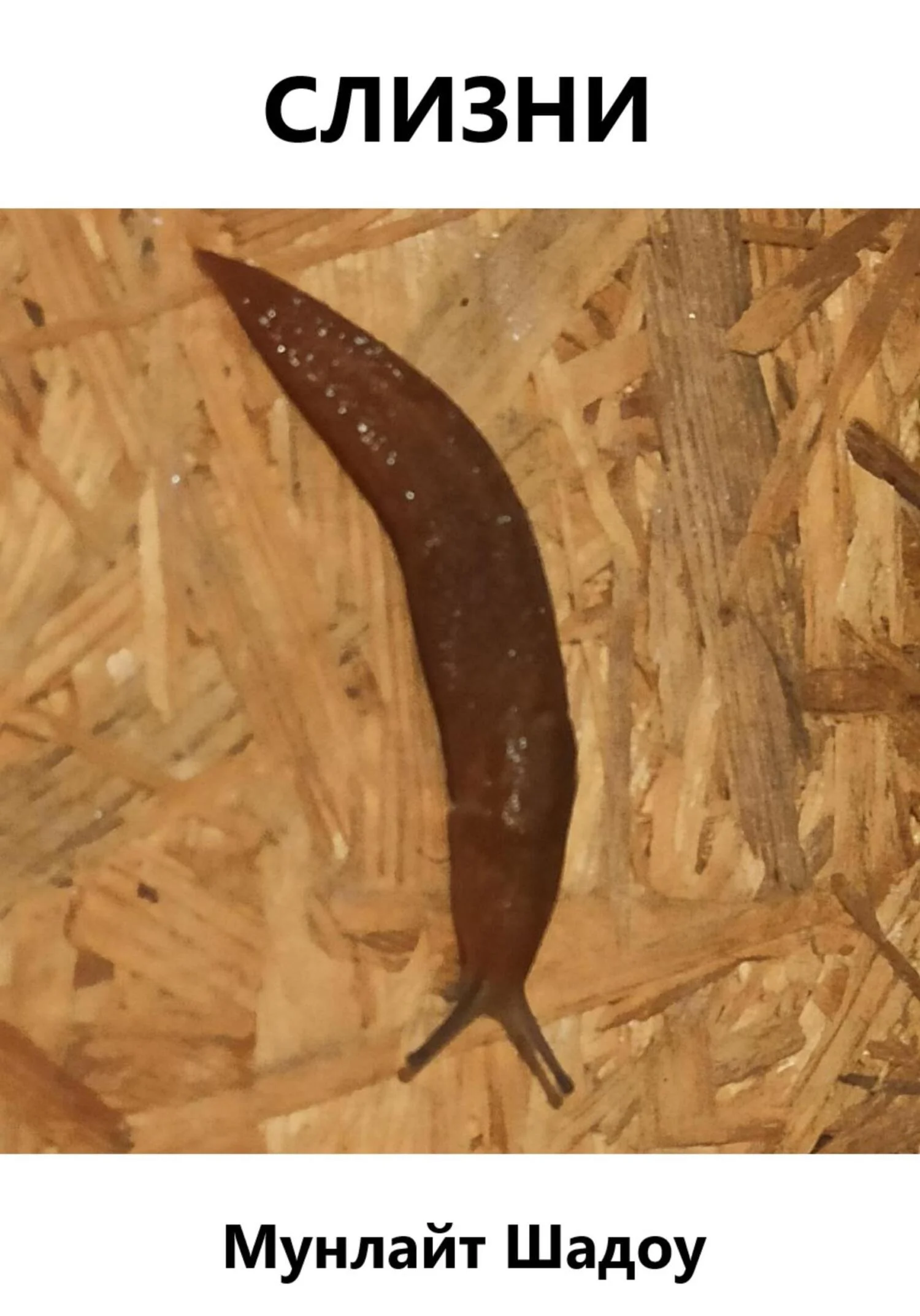 Обложка Слизни