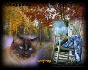 Обложка Моя бабушка курит трубку