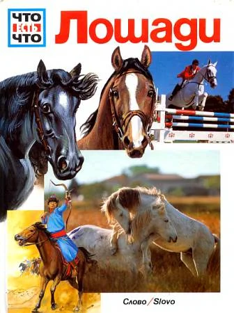 Обложка Лошади