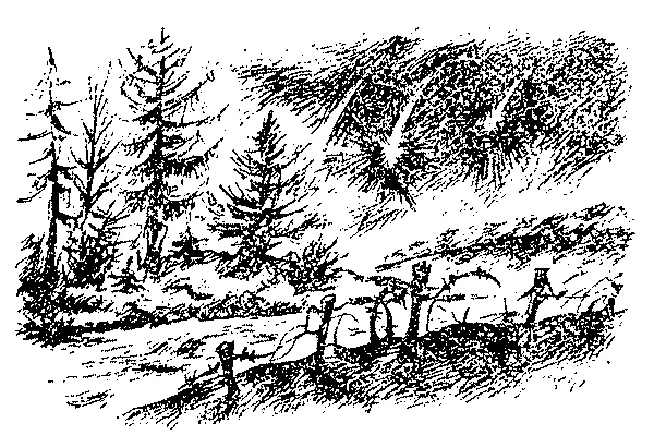 Обложка Пошлите меня в разведку