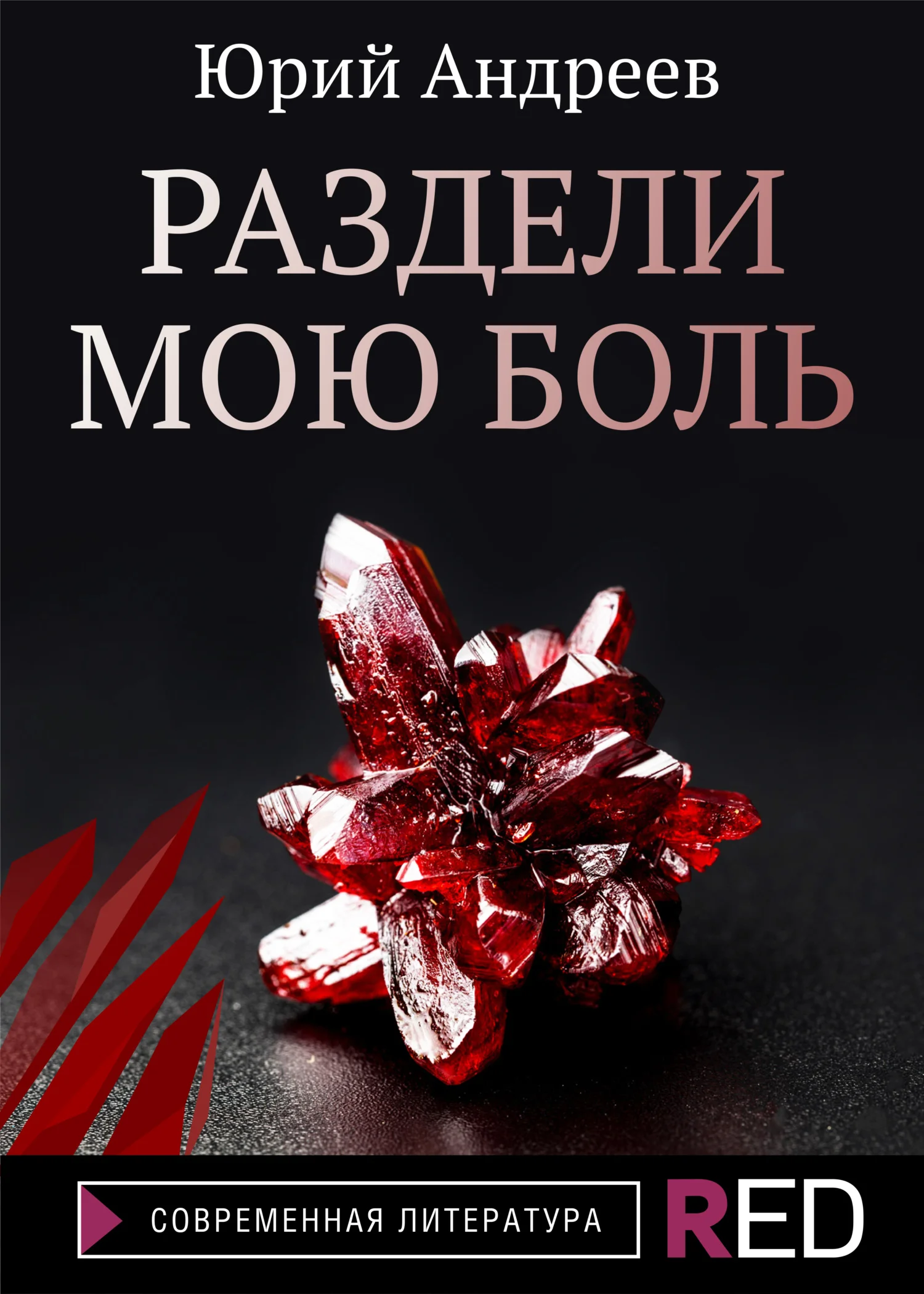 Обложка Раздели мою боль