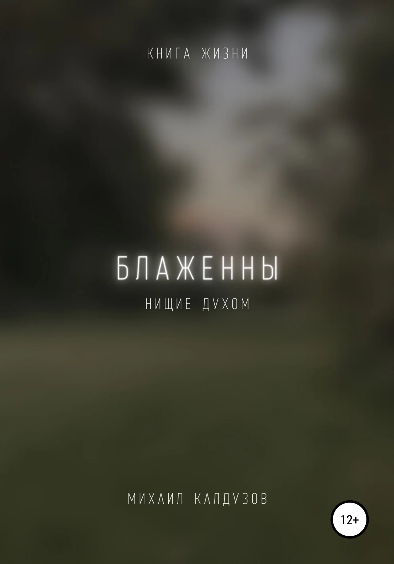 Обложка Блаженны нищие духом. Книга жизни