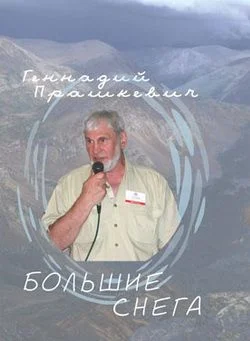 Обложка Большие снега
