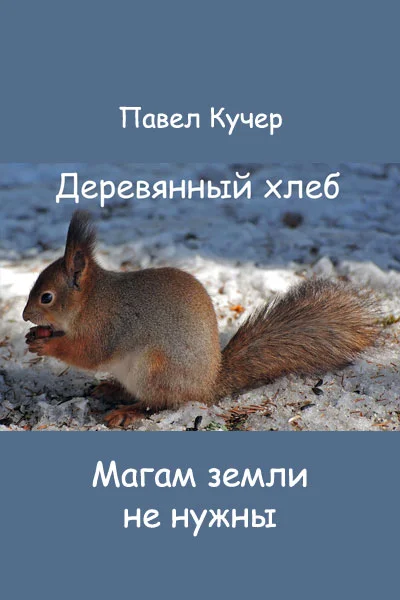 Обложка Магам земли не нужны