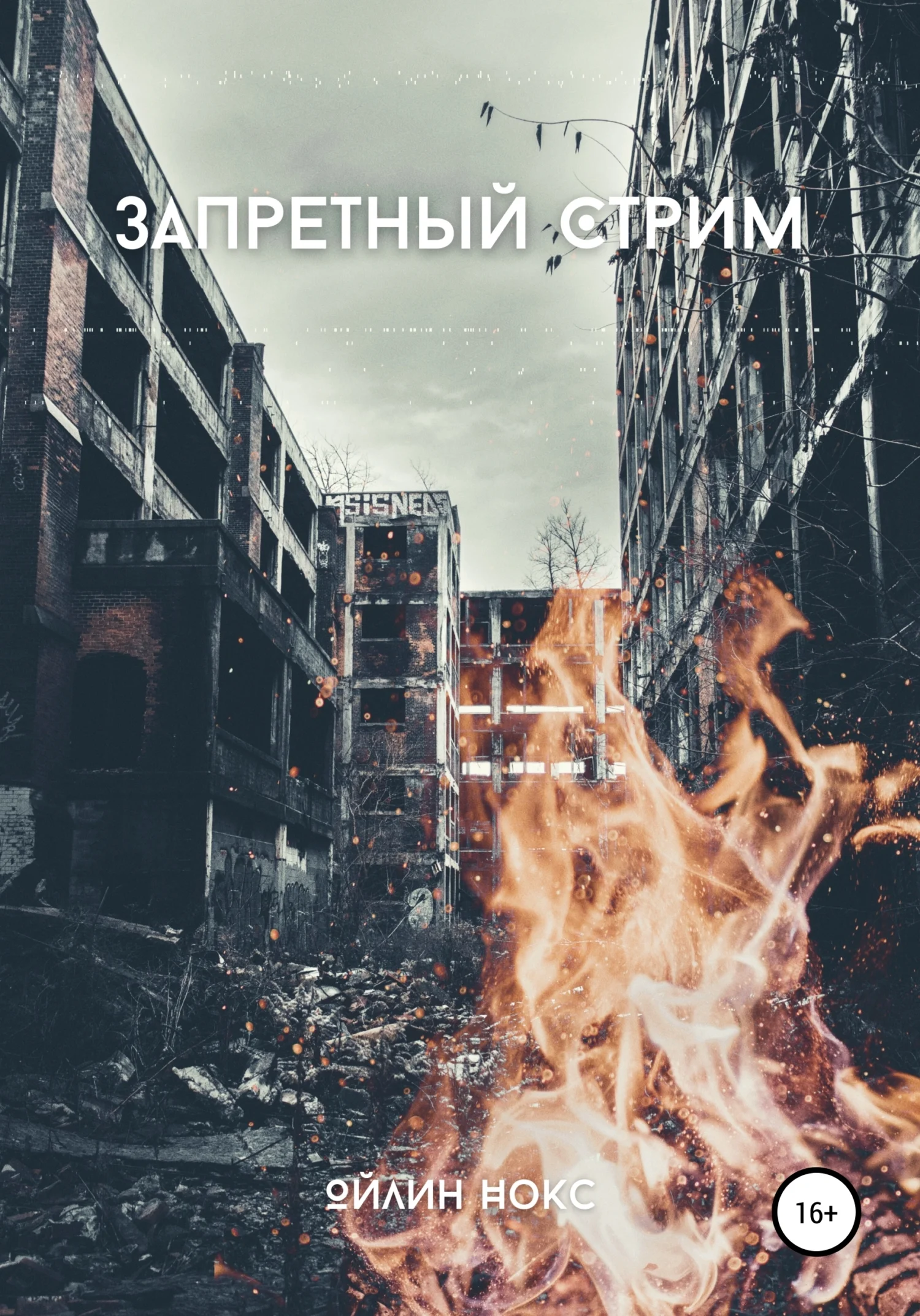 Обложка Запретный стрим