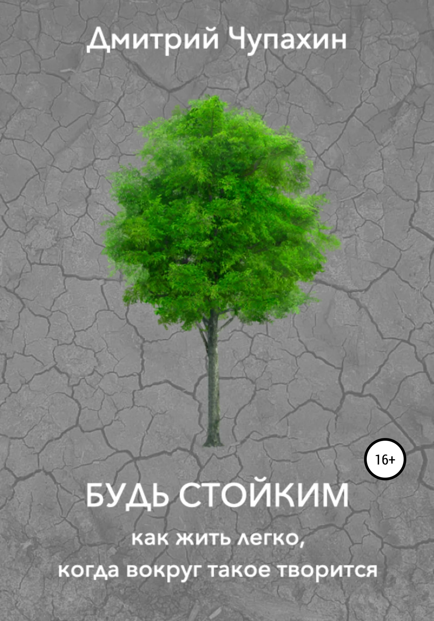 Обложка Будь стойким. Как жить легко, когда вокруг такое творится