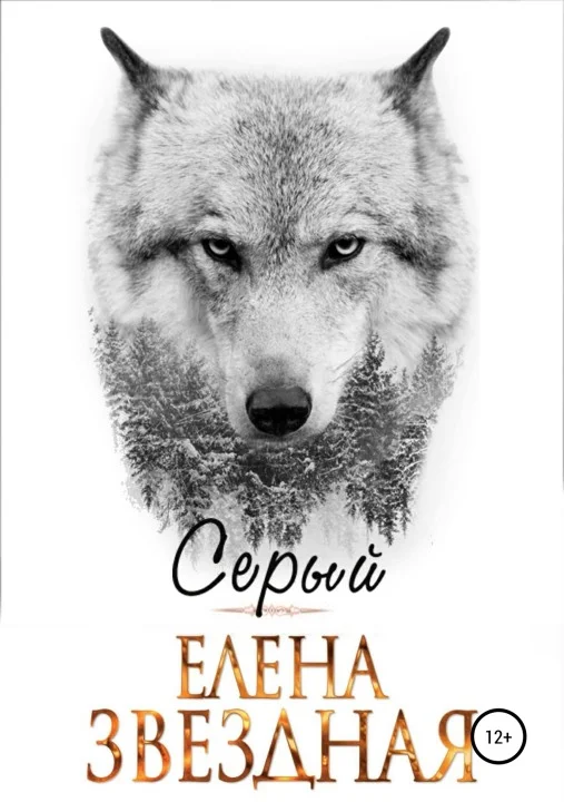 Обложка Серый [СИ]