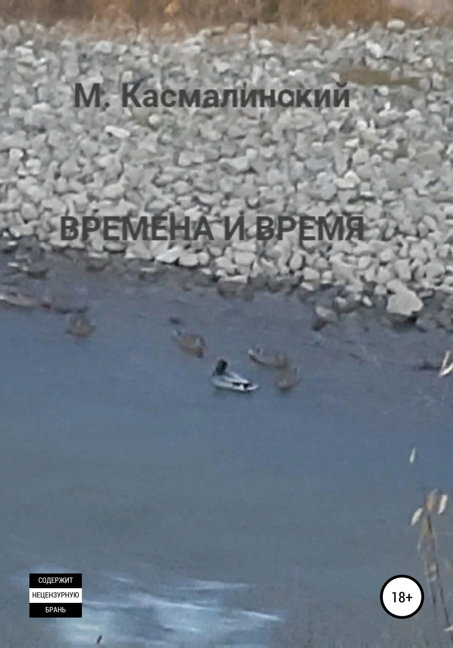 Обложка Времена и время