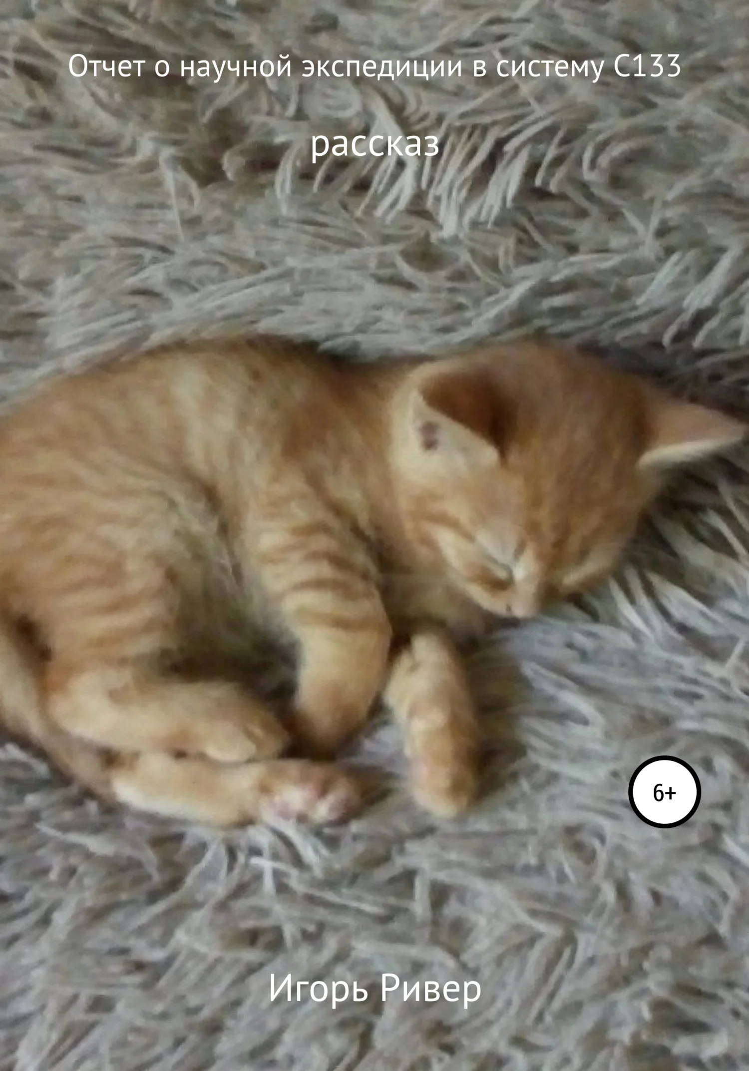 Обложка Отчет о научной экспедиции в систему С133