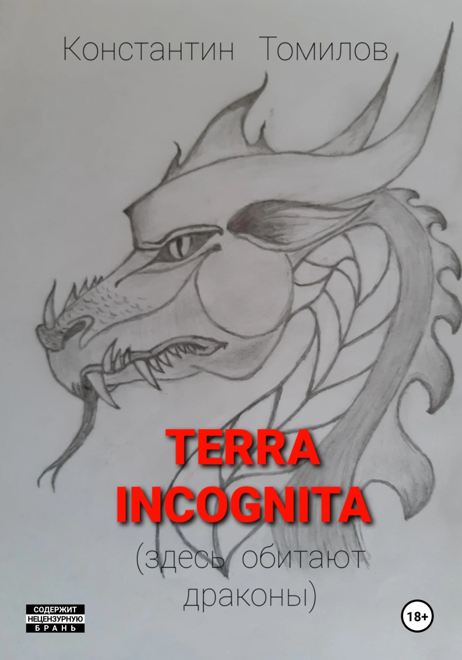 Обложка Terra incognita (здесь обитают драконы)