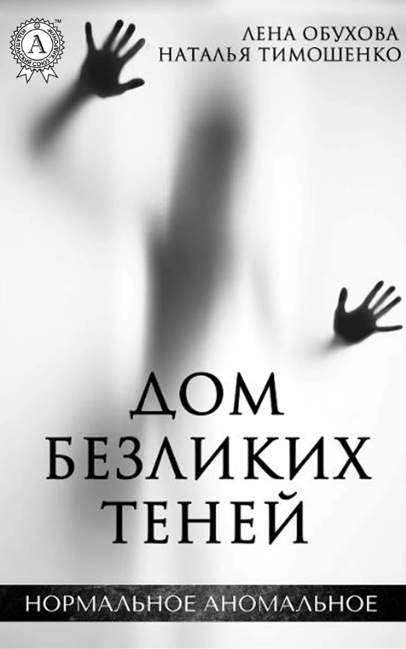 Обложка Дом безликих теней