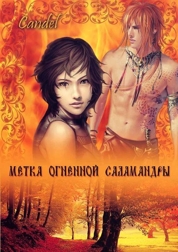 Обложка Метка Огненной Саламандры