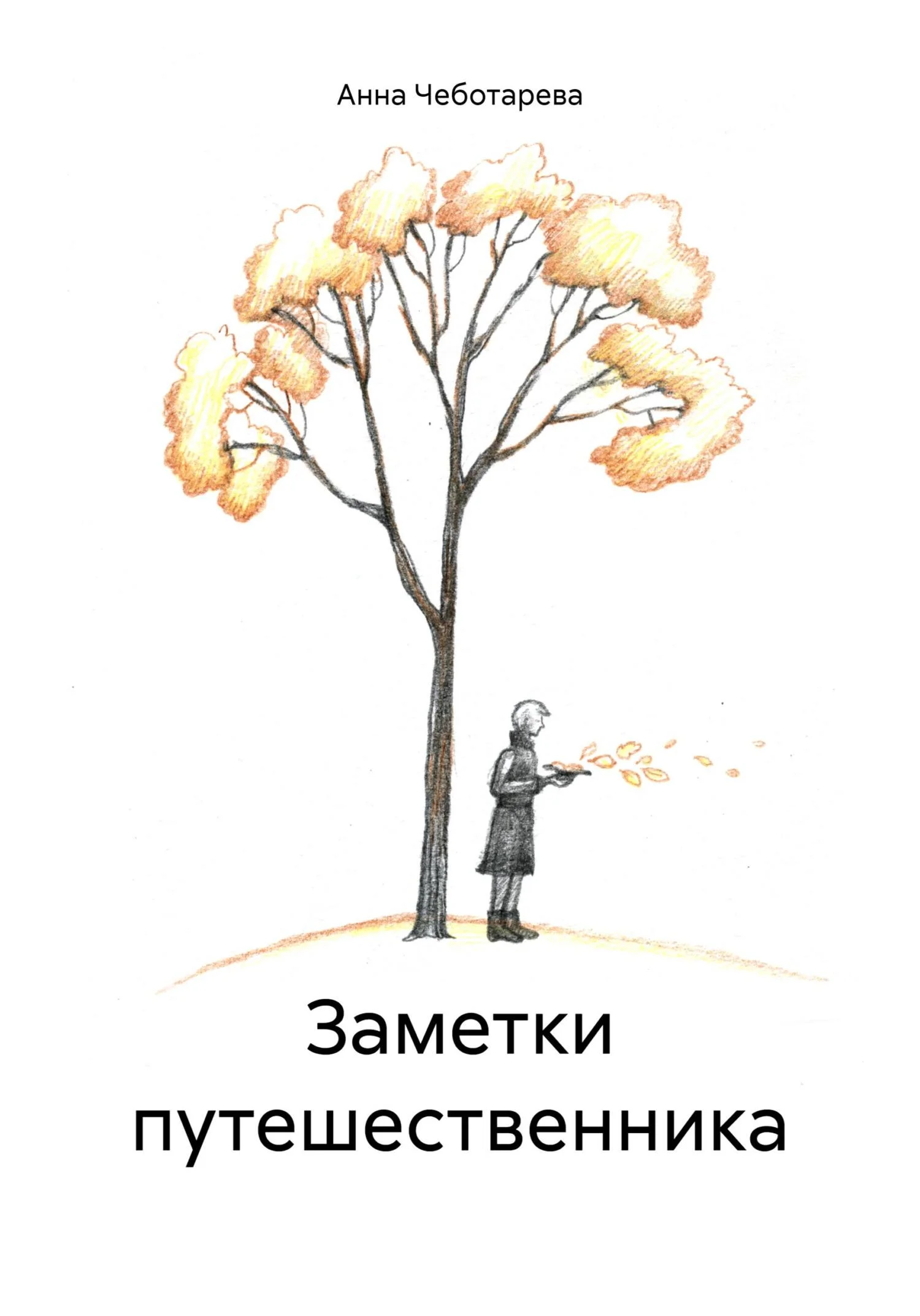 Обложка Заметки путешественника