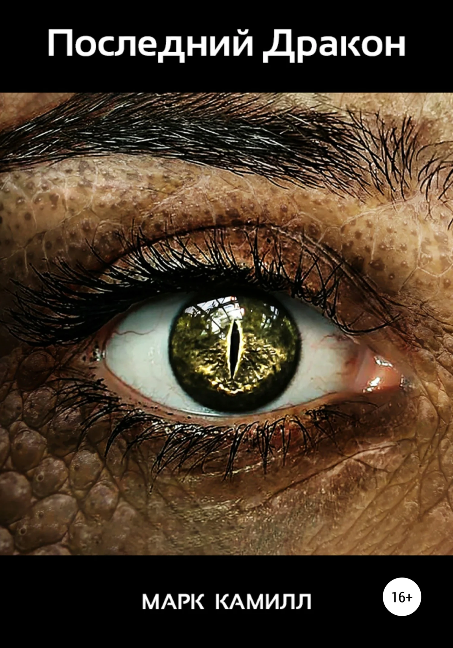 Обложка Последний Дракон