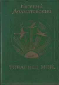 Обложка Товарищ мой