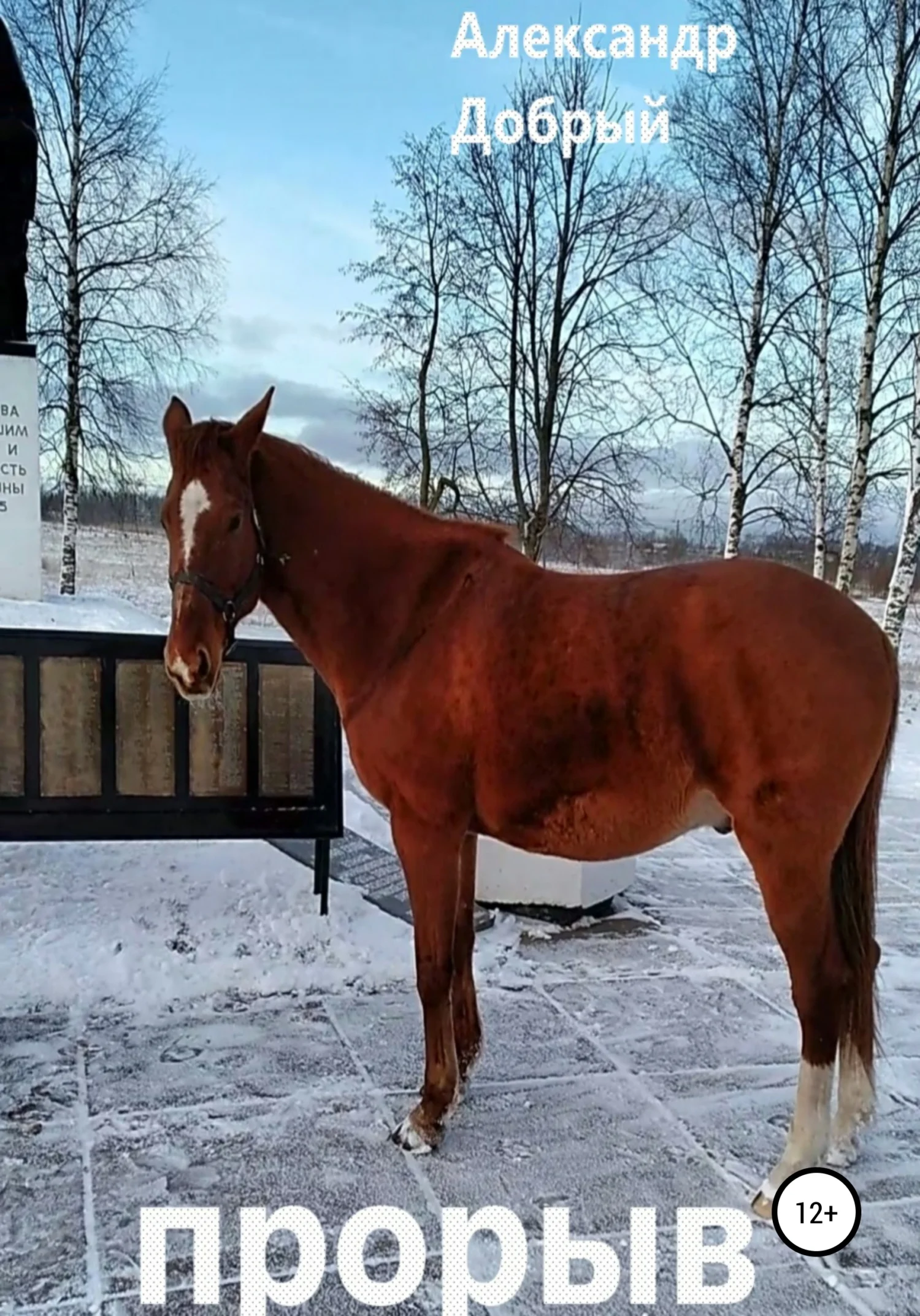 Обложка Прорыв