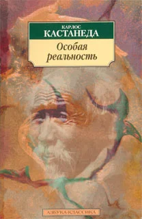 Обложка Особая реальность