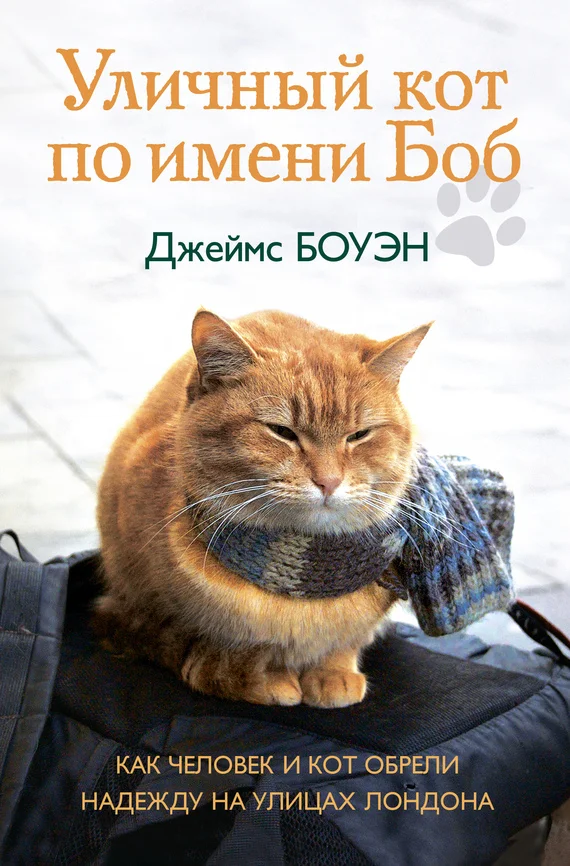 Обложка Уличный кот по имени Боб. Как человек и кот обрели надежду на улицах Лондона