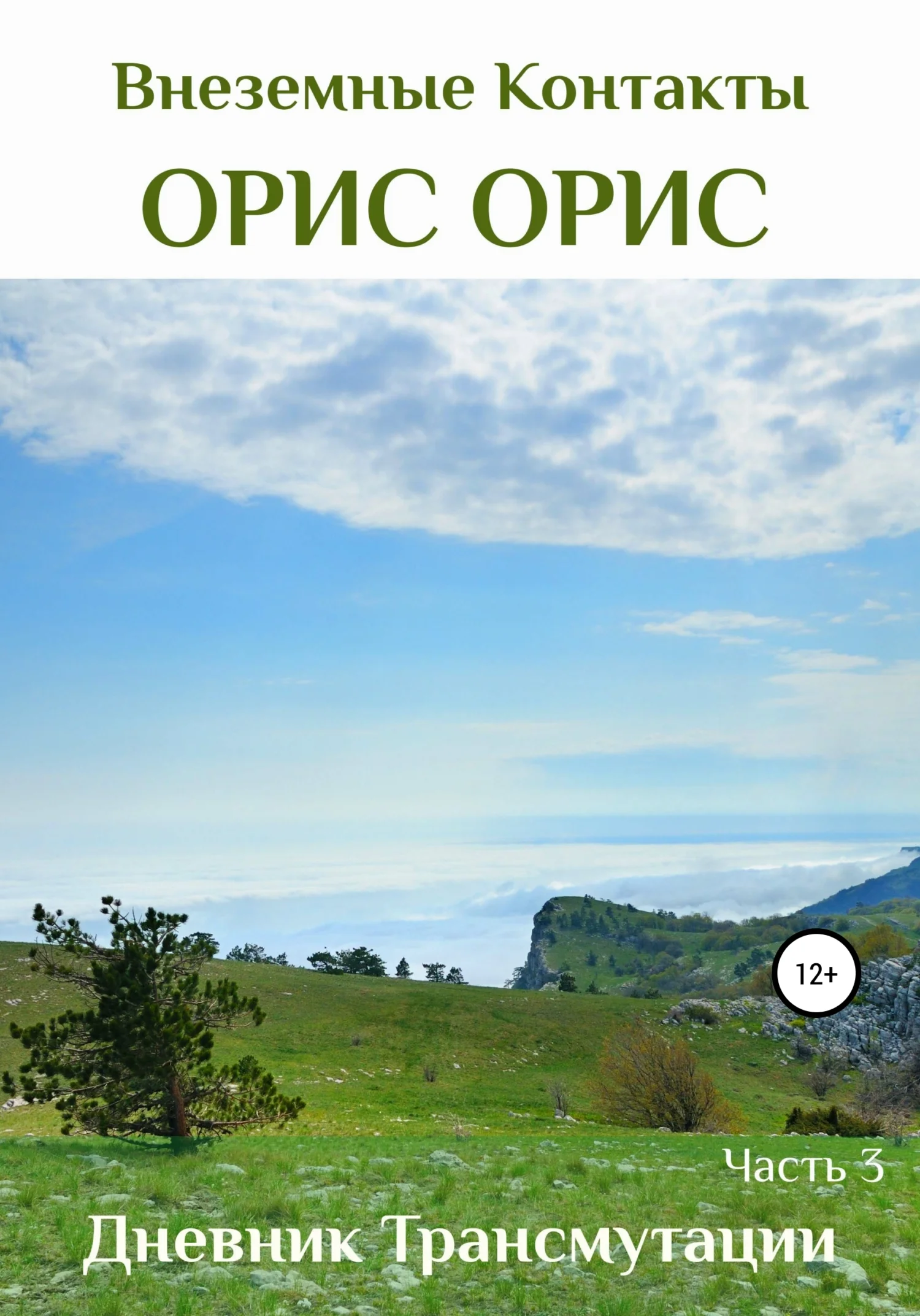 Обложка Дневник Трансмутации. Часть 3