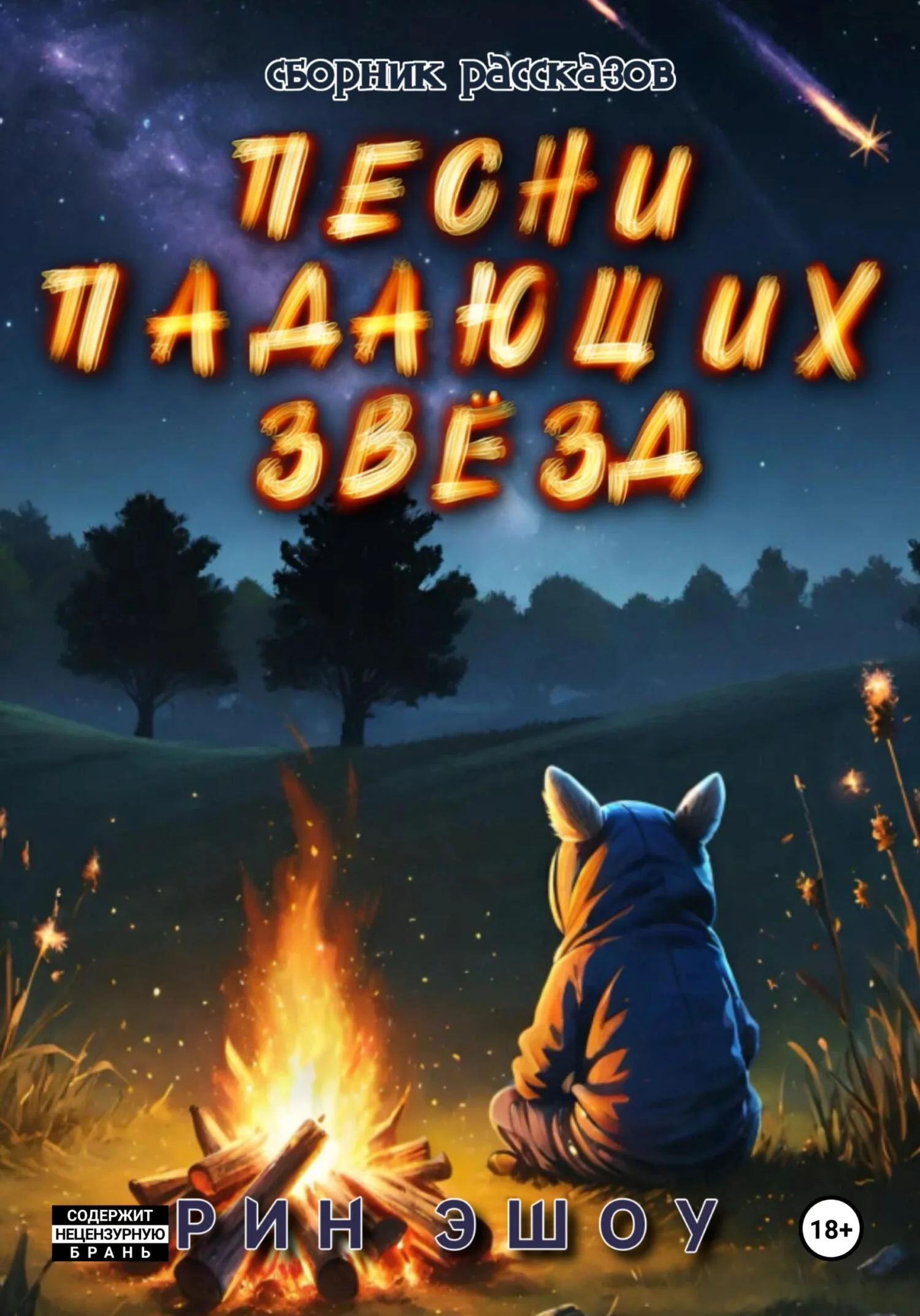 Обложка Песни падающих звёзд