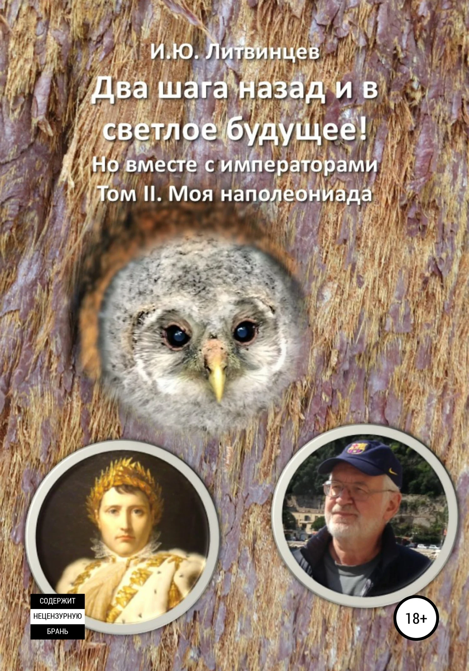 Обложка Два шага назад и в светлое будущее! Но вместе с императорами. Том II. Моя наполеониада