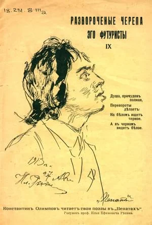 Обложка Развороченные черепа