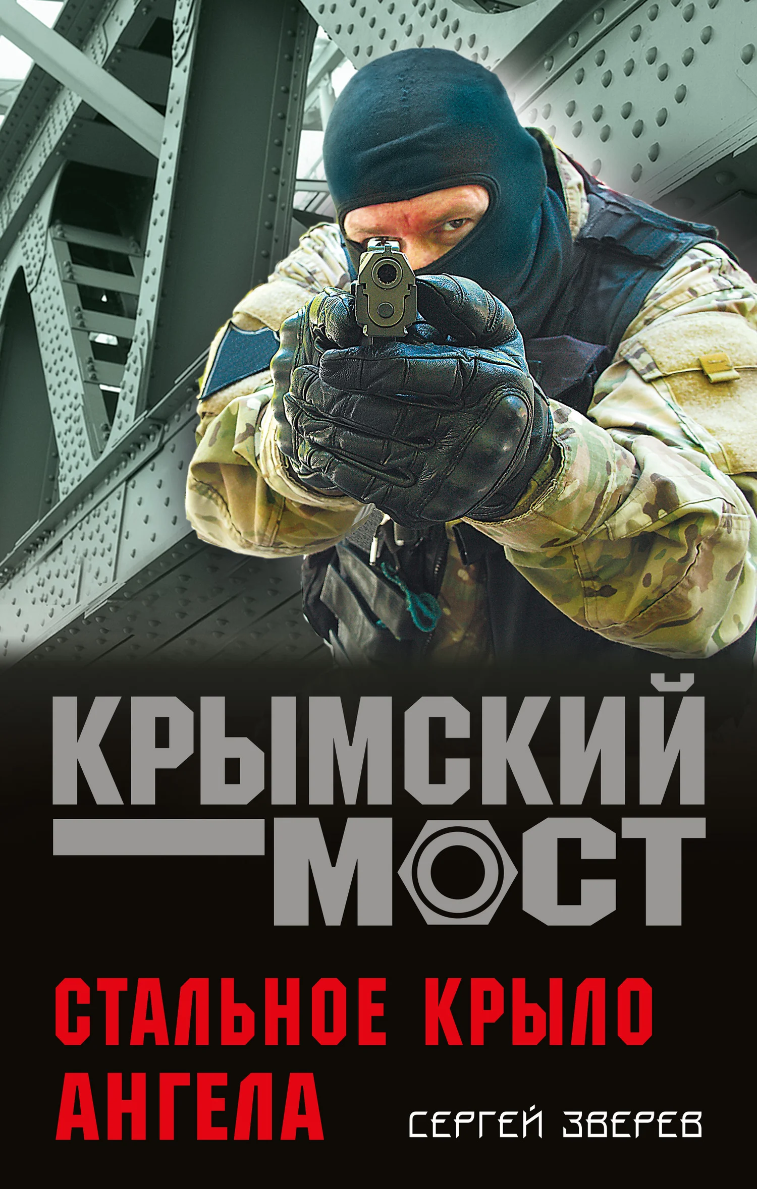 Обложка Стальное крыло ангела