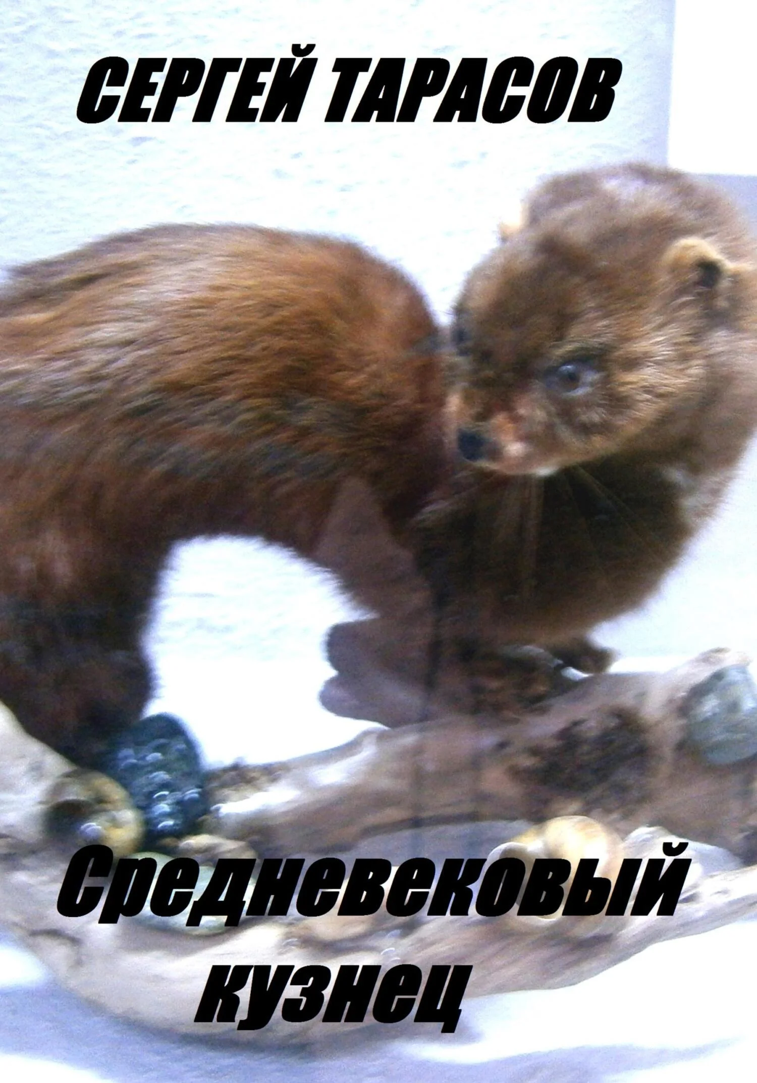 Обложка Средневековый кузнец