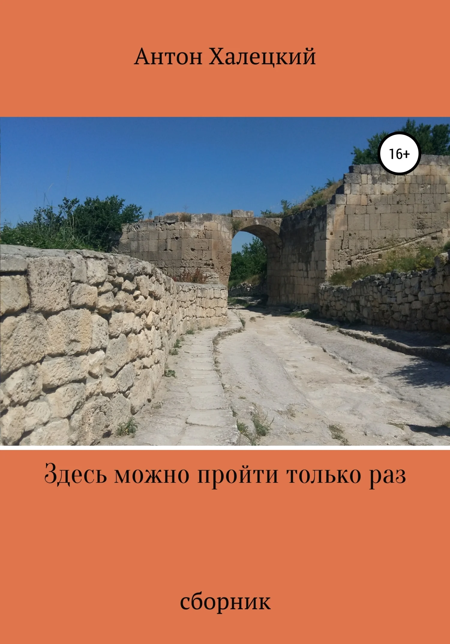 Обложка Здесь можно пройти только раз