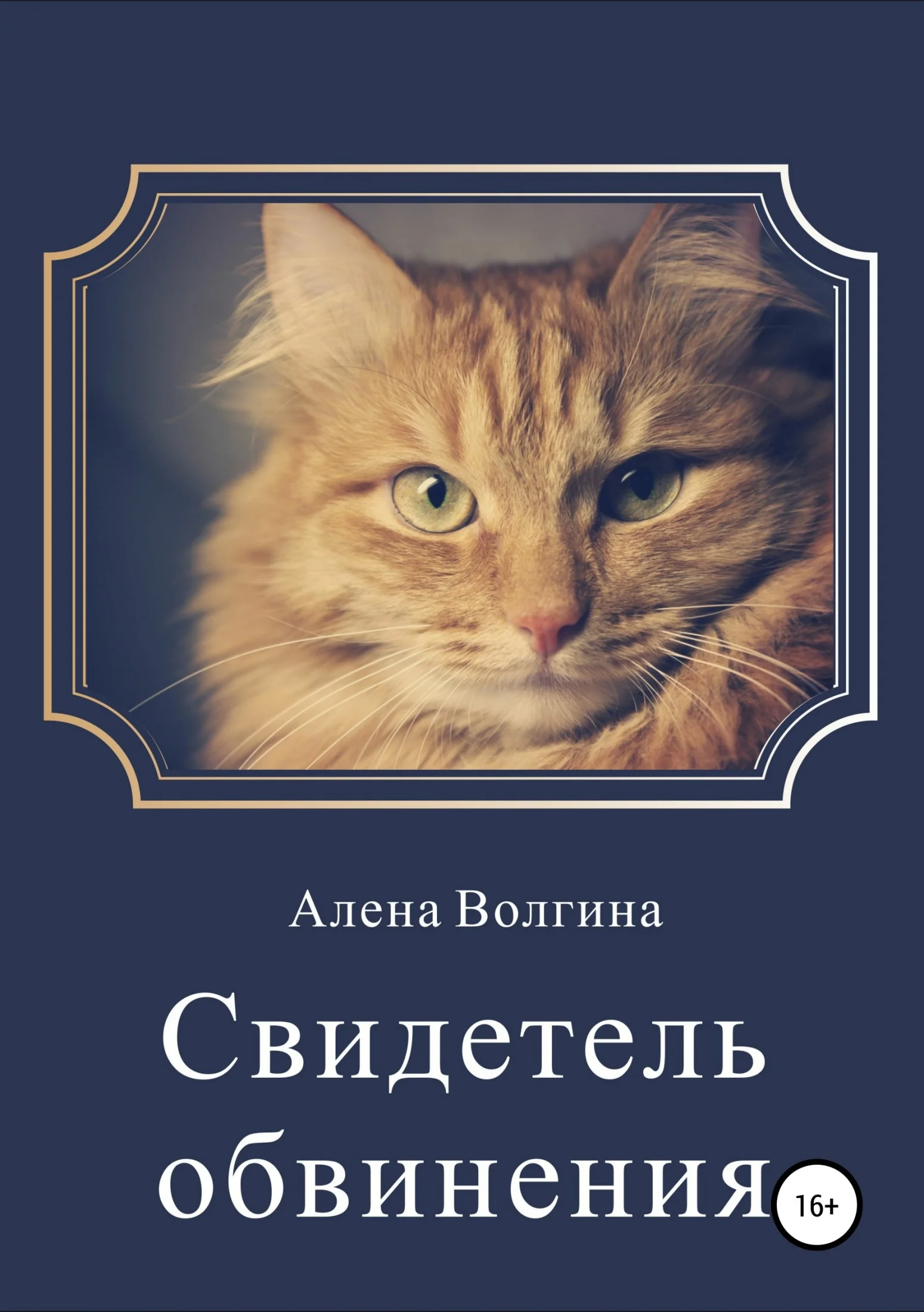 Обложка Свидетель обвинения