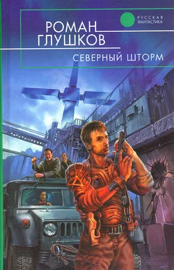 Обложка Северный шторм