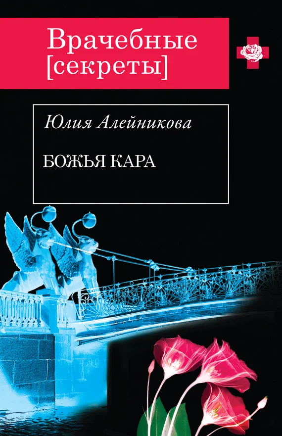 Обложка Божья кара