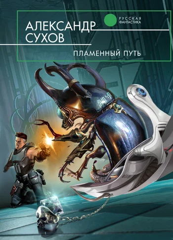 Обложка Пламенный Путь