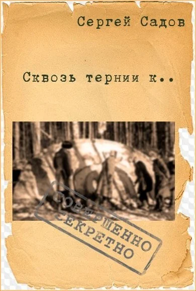 Обложка Сквозь тернии к...