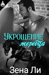Обложка Укрощение жеребца